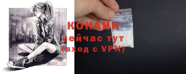 шишки Нязепетровск