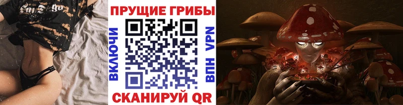 наркота Щёлково Псилоцибиновые грибы Cubensis